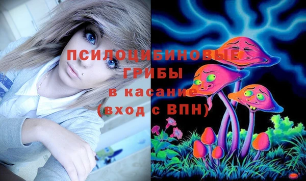 мдпв Абинск