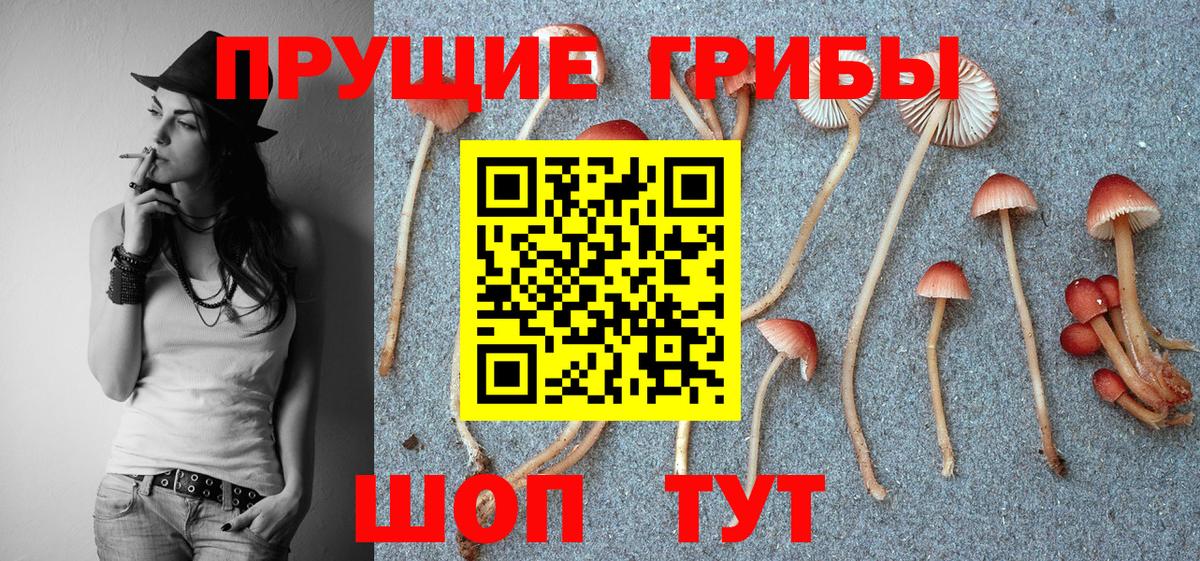 Псилоцибиновые грибы мухоморы Омск